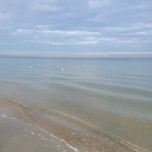 Meet your Posher, Chanrany